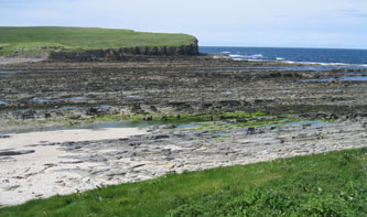 Brough Head