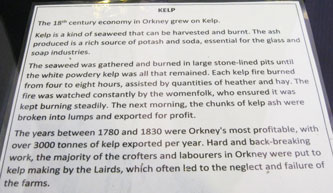 wealth from kelp