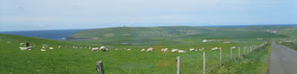 countryside north of Scara Brae