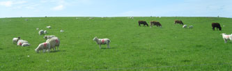 countryside north of Scara Brae