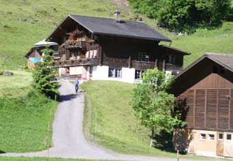 Swiss farm