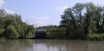 River shoreline