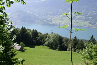 Wallensee