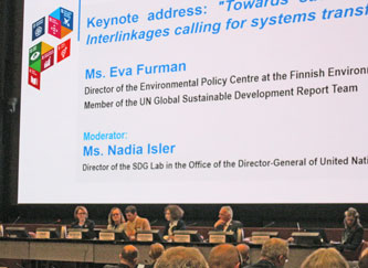 Eeva Furman GSDR presentation