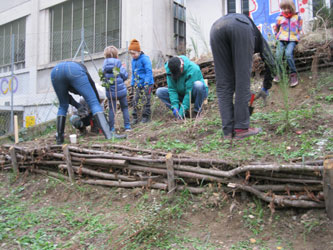 tree planting