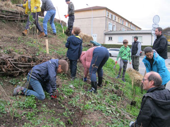 tree planting