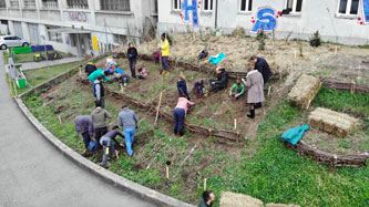 planting terraces