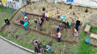 planting the lowest terraces