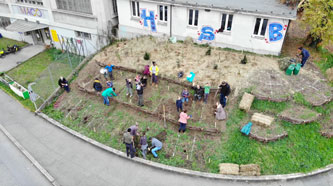 planting the lowest terrace