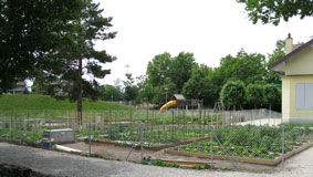 Vegetable garden