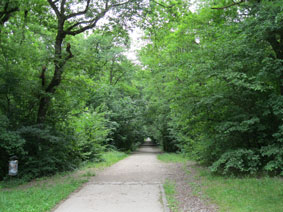 Bois des Freres