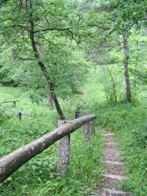 Bois de la Grille - stairs