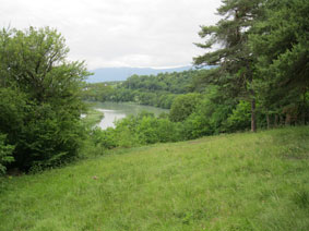 Bois de la Grille -view of Rhone