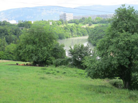 Rhone River