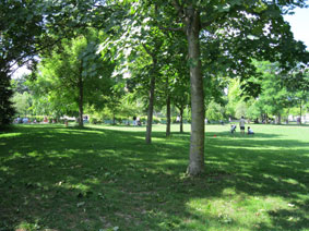 Grassy area