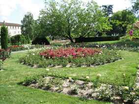 Rose Garden