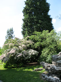 grotto