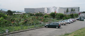 Jardin familiaux - Bois des Freres