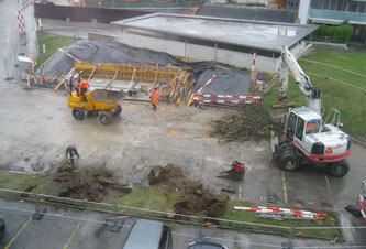 tearing out the trees