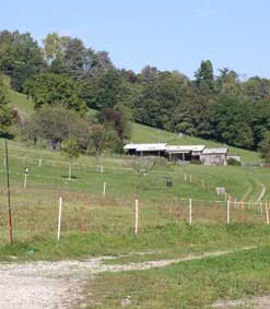 farm