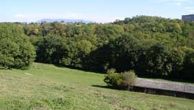 farm and forest