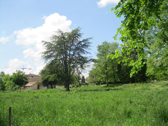 Parc des Franchises