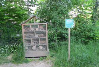 insect hotel