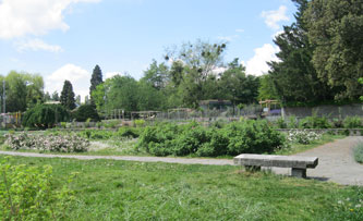 Parc des Franchises