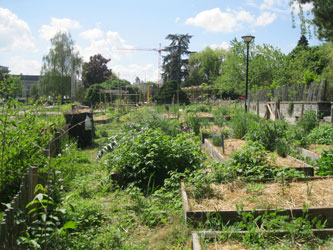 Parc des Franchises