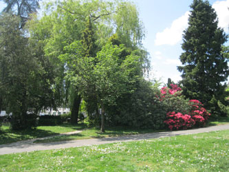 Parc des Franchises