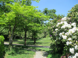 Parc des Franchises