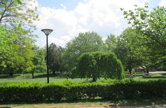 Parc des Franchises