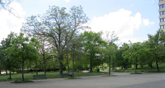 Parc des Franchises